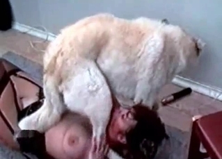 Crazy dog gets a crazy BJ