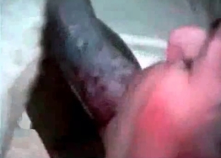 Crazy dog gets a crazy BJ