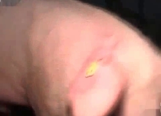 Amateur animal fucking scene