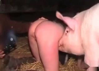 Amateur animal fucking scene