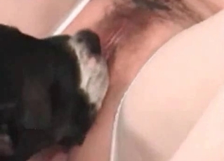 Pussy licking doggy