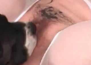Pussy licking doggy