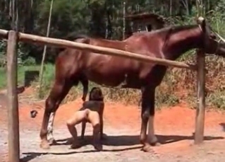 Mare’s cock gets into her hungry mouth