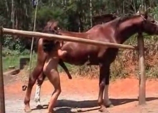Mare’s cock gets into her hungry mouth