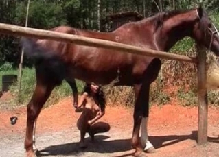 Mare’s cock gets into her hungry mouth