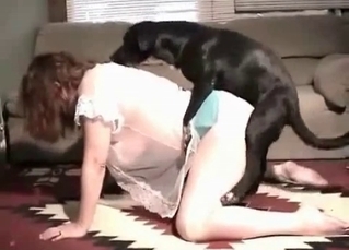 Incredible chick massaging puppy’s junk