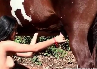 Stallion loving that furious pounding