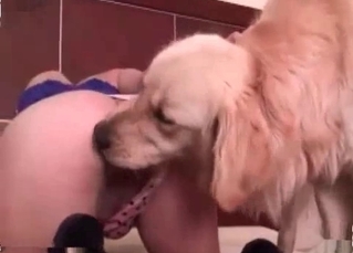 Devouring that thick dog cock