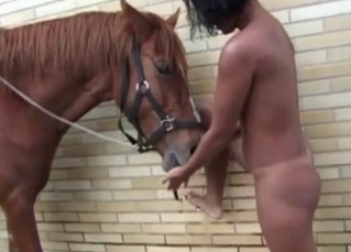 Stallion raping this cheap whore