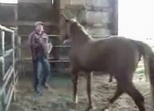 Sexy brown horse fucking a dude