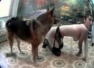 Tight pussy used by a shepherd