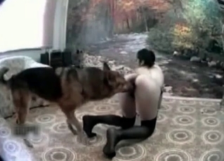 Tight pussy used by a shepherd