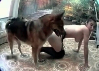 Tight pussy used by a shepherd