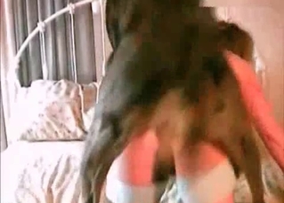Fantastically hot chick and her hound