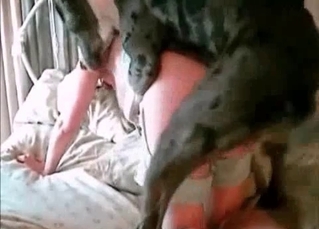 Fantastically hot chick and her hound
