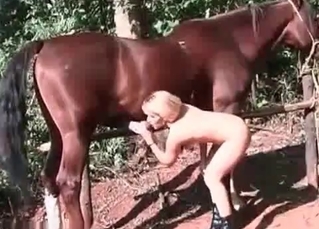 Blonde bitch getting it from a stallion