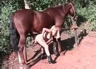 Blonde bitch getting it from a stallion