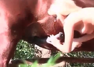 Blonde bitch getting it from a stallion