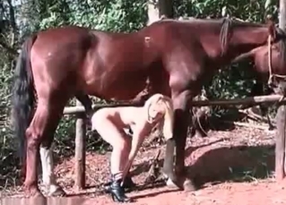 Blonde bitch getting it from a stallion