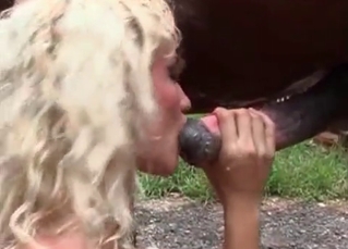 Massive animal dong being sucked