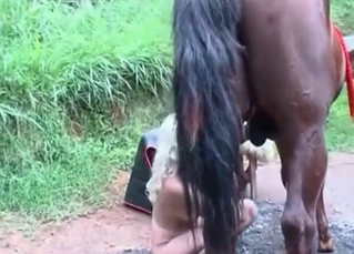 Massive animal dong being sucked