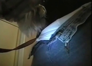 Big thick dick for an animal