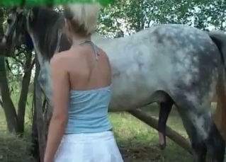 Horse screwing this drop-dead gorgeous slut