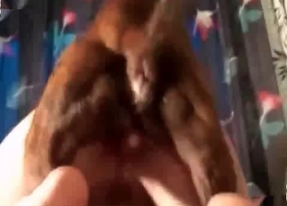Horny chick uses her dog to get off