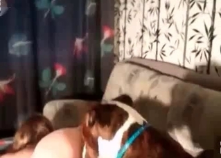 Horny chick uses her dog to get off