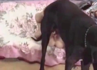 Wet cunt for a mutt