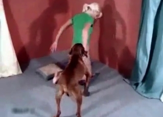 Amazing whore and a horny dog