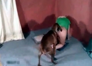 Amazing whore and a horny dog