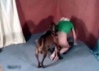 Amazing whore and a horny dog
