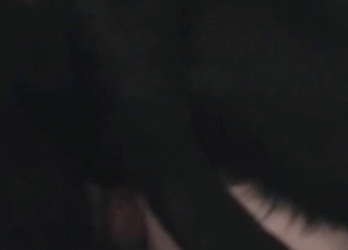 Bedroom sex enjoyed by the both parties