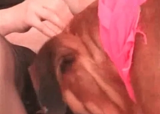 Tight hole serviced by a mutt