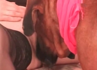 Tight hole serviced by a mutt