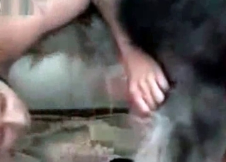 Puppy gets to have its first time