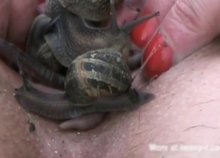 Creepy crawlers for a juicy pussy