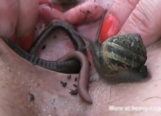 Creepy crawlers for a juicy pussy