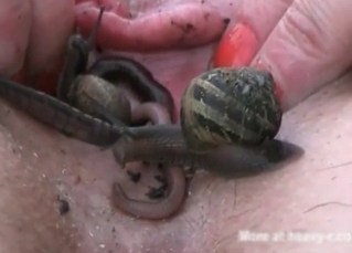 Creepy crawlers for a juicy pussy