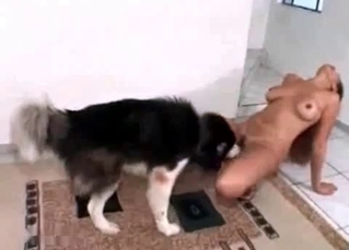 Kinky dog playing it up on cam