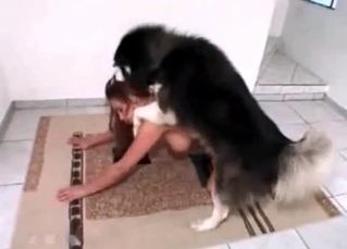 Kinky dog playing it up on cam