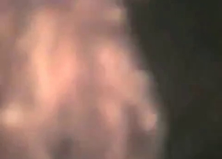 Dog loves its owner bouncing on its dick