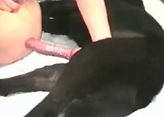 Dog loves its owner bouncing on its dick