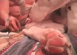 White boxer taking part in the hottest video ever