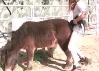 Anal sex shown up close