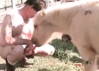 Anal sex shown up close