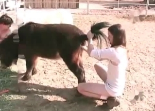 Anal sex shown up close