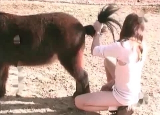 Anal sex shown up close