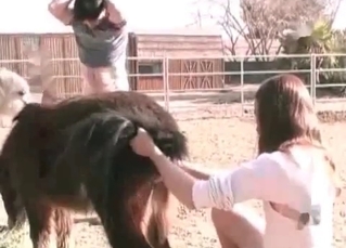 Anal sex shown up close